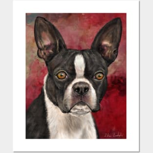 Painting of Black and White Boston Terrier on Burgundy Background Posters and Art